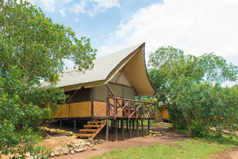 safari bush lodge